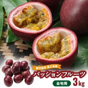 ふるさと納税 [2026年6月より順次発送]カイトフルーツの自宅用パッションフルーツ3kg 鹿児島県伊仙町