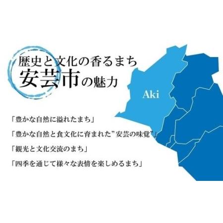 ふるさと納税 定期便/計3回 安芸野菜（10種）【野菜】 高知県安芸市_4