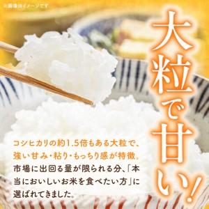 ふるさと納税 R7年産　「いのちの壱」（10kg）＜農家直送＞ ［208K10］ 希少米 10kg 米 精米 白米 ご飯 国産 産地直送 甘い 粘り強い もちもち .. 愛知県小牧市_1