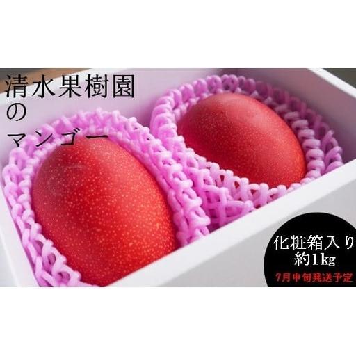 ふるさと納税 [先行予約!2026年7月より順次発送] 清水果樹園 マンゴー 約1kg(化粧箱入り) 鹿児島県伊仙町