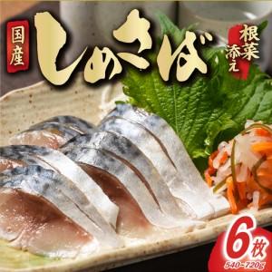 ふるさと納税 しめさば 根菜 添え 6枚 さば 千葉県銚子市