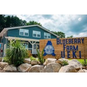 ふるさと納税 BULE BERRY FARM UEKI 施設利用券 2５０００円分 栃木県矢板市_1
