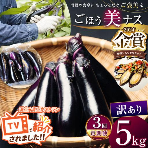 ふるさと納税 【定期便3回】農家さん応援！訳ありごほう美ナス 約5kg