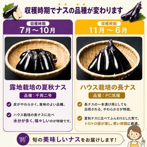 ふるさと納税 【定期便3回】農家さん応援！訳ありごほう美ナス 約5kg