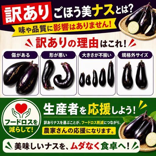 ふるさと納税 【定期便3回】農家さん応援！訳ありごほう美ナス 約5kg