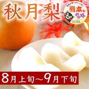 ふるさと納税 定期便3回 梨 約1.8kg×3回 計約5.4kg 豊水 秋月 新高 8月〜10月出荷【梨 なし 果物 フルーツ デザート 食後 熊本県産】※配送不.. 熊本県錦町の画像