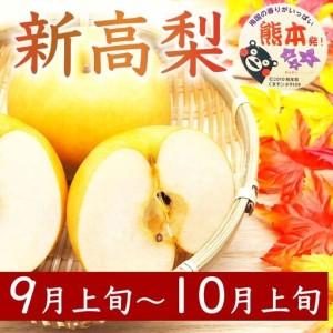 ふるさと納税 定期便3回 梨 約1.8kg×3回 計約5.4kg 豊水 秋月 新高 8月〜10月出荷【梨 なし 果物 フルーツ デザート 食後 熊本県産】※配送不.. 熊本県錦町の画像
