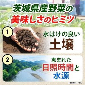 ふるさと納税 定期便 隔月 4回 冷凍 カット さつまいも 300g むき枝豆 500g セット 各1袋×4 計3.2kg 茨城県産 訳あり 不揃い サツマイモ え.. 茨城県水戸市の画像