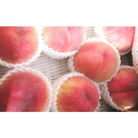 ふるさと納税 【2026年産 先行予約】2026年もも「あかつき・まどか」2kg 喜多方市産 【07208-0830】 福島県喜多方市の画像