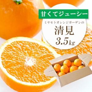 ふるさと納税 果汁たっぷり ジューシー清見3.5kg[D25-129][1044409] YWTAP072 愛媛県八幡浜市