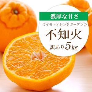 ふるさと納税 [先行受付]デコポンと同品種 濃厚柑橘 不知火(しらぬい)愛媛県八幡浜市産 5kg[訳あり][D25-139][1138007] YWTAP082 愛媛県八幡浜市