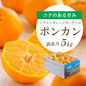 ふるさと納税 [先行受付]愛媛の新春柑橘 芳醇な香りのポンカン 5kg[訳あり][C25-135][1248059] YWTAP078 愛媛県八幡浜市