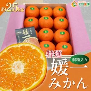 ふるさと納税 [先行受付]桐箱入り・媛一みかん(2.5kg)[D24-4][1045056] YWTAD002 愛媛県八幡浜市