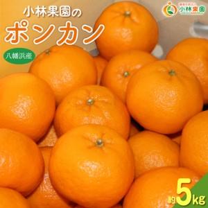 ふるさと納税 [先行受付]小林果園のポンカン(約5kg)[C24-18][1124424] YWTAD011 愛媛県八幡浜市