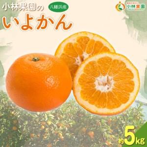 ふるさと納税 小林果園の宮内いよかん(約5kg)[C24-19][1124425] YWTAD012 愛媛県八幡浜市