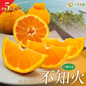 ふるさと納税 [先行受付]小林果園の不知火(約5kg)[C24-20][1124426] YWTAD013 愛媛県八幡浜市