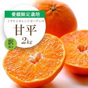 ふるさと納税 [先行受付]愛媛限定栽培柑橘 甘平(かんぺい)2kg[訳あり][D25-184][1608049] YWTAP125 愛媛県八幡浜市