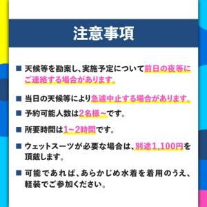 ふるさと納税 誰でもすぐにできる海上散歩！SUP体験（ペア） M133-002 SUP サップ パドルボード マリンスポーツ 神奈川県三浦市_3