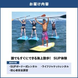 ふるさと納税 誰でもすぐにできる海上散歩！SUP体験（ペア） M133-002 SUP サップ パドルボード マリンスポーツ 神奈川県三浦市_4