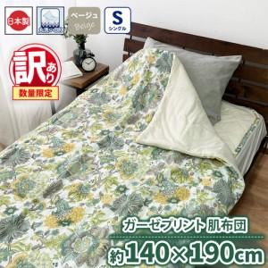 ふるさと納税 [訳あり 数量限定]ガーゼプリント 肌布団 1枚 [シングル]140×190cm ベージュ SH-3111S 大阪府泉大津市