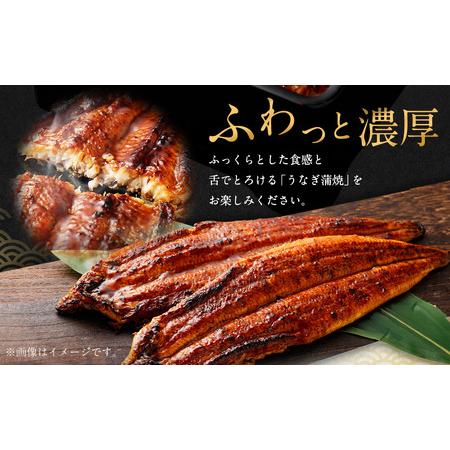 ふるさと納税 国産 うなぎ 蒲焼 3尾 （690g〜750g）と 特製タレ 3個 セット 鰻 ウナギ 蒲焼き うなぎ蒲焼 セイロ蒸し せいろ蒸し タレ付 冷凍 父.. 大阪府阪南市_1