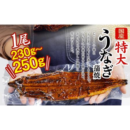 ふるさと納税 国産 うなぎ 蒲焼 3尾 （690g〜750g）と 特製タレ 3個 セット 鰻 ウナギ 蒲焼き うなぎ蒲焼 セイロ蒸し せいろ蒸し タレ付 冷凍 父.. 大阪府阪南市_2