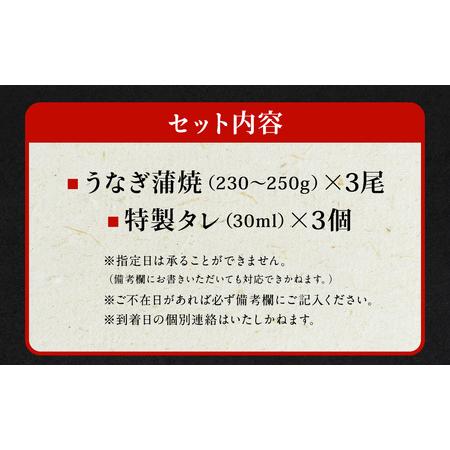 ふるさと納税 国産 うなぎ 蒲焼 3尾 （690g〜750g）と 特製タレ 3個 セット 鰻 ウナギ 蒲焼き うなぎ蒲焼 セイロ蒸し せいろ蒸し タレ付 冷凍 父.. 大阪府阪南市_3