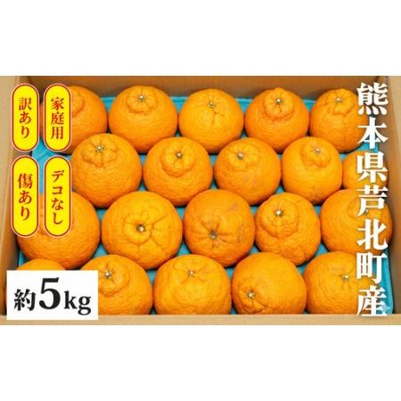 ふるさと納税 B400-10 デコポン5kg [ご家庭用] 熊本県芦北町