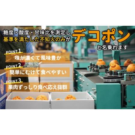 ふるさと納税 B400-10 デコポン5kg 【ご家庭用】 熊本県芦北町_1