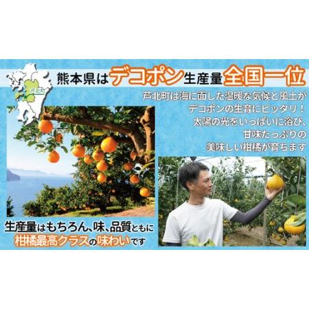 ふるさと納税 B400-10 デコポン5kg 【ご家庭用】 熊本県芦北町_2