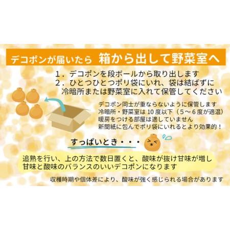 ふるさと納税 B400-10 デコポン5kg 【ご家庭用】 熊本県芦北町_3