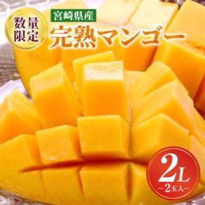 ふるさと納税 マンゴー [先行予約]完熟マンゴー 2Lサイズ×2玉 [数量・期間限定] 2026年発送 宮崎県宮崎市