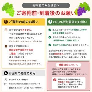 ふるさと納税 ぶどう 食べ比べセット シャインマスカット \u0026 ブラックビート 【2026年8月下旬頃から順次発送】 | ぶどう 葡萄 フルーツ 果物 .. 愛媛県松山市_4