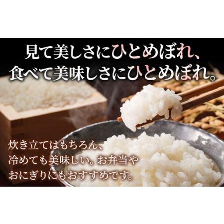 ふるさと納税 米《定期便2ヶ月》ひとめぼれ【白米】 米どころ秋田県産 令和7年産 精米 10kg（2kg×5袋） 秋田県秋田市_4