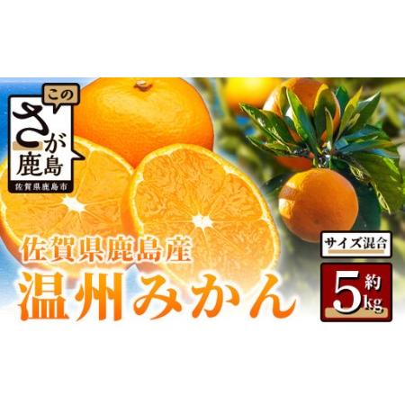 ふるさと納税 温州みかん 約5kg 佐賀県鹿島産 | [先行受付11月上旬より発送予定]みかん ミカン 甘い サイズ混合 小玉含む フルーツ 果物 果実 .. 佐賀県鹿島市