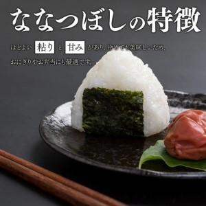 ふるさと納税 【3回定期便】 令和7年産米 北海道産 ななつぼし 10kg （5kg×2袋）| 米 お米 白米 精米 ななつぼし　BOAY014 北海道美唄市_2