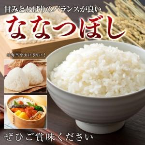 ふるさと納税 【3回定期便】 令和7年産米 北海道産 ななつぼし 10kg （5kg×2袋）| 米 お米 白米 精米 ななつぼし　BOAY014 北海道美唄市_3