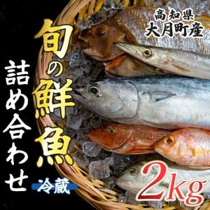 ふるさと納税 高知県産 鮮魚 詰め合わせ便 2kg 谷鮮魚食堂 刺し身 煮付け 産地直送 生魚 刺身 刺し身 高知県大月町