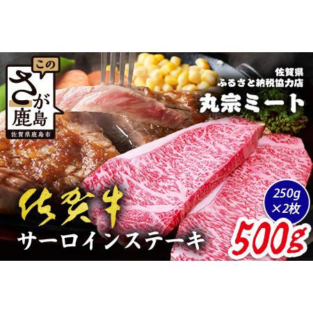 ふるさと納税 佐賀牛 サーロインステーキ 250g×2枚 ブランド牛 精肉 ステーキ C-200 佐賀県鹿島市