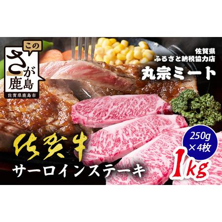 ふるさと納税 佐賀牛 サーロインステーキ 250g×4枚 計1000g ブランド牛 ステーキ 精肉 E-185 佐賀県鹿島市