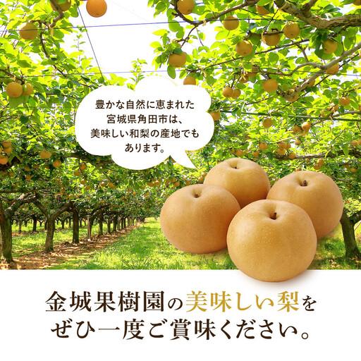 ふるさと納税 【訳あり】金城生り物園 梨「幸水」約5kg（10〜16玉入）2026年8月中旬〜 ｜ 梨  宮城県角田市