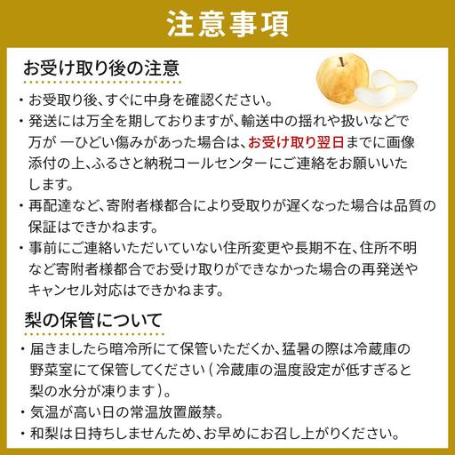 ふるさと納税 【訳あり】金城生り物園 梨「幸水」約5kg（10〜16玉入）2026年8月中旬〜 ｜ 梨  宮城県角田市