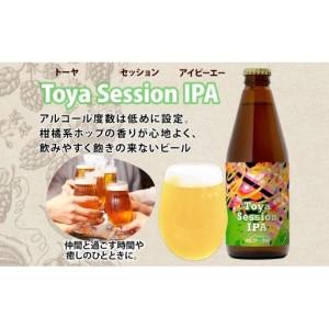ふるさと納税 洞爺湖 発 クラフトビール Toya Session IPA 330ml 2本 コースター1枚付き Lake Toya Beer 楽しい 癒し パーティー 酒 発泡酒 ビ.. 北海道洞爺湖町_2