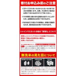 ふるさと納税 【全3回】晴れの国定期便 無洗米20kg 桃2kg マスカット1.5kg 定期便 岡山県笠岡市_4