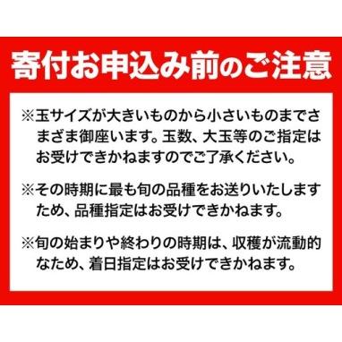 ふるさと納税 【全2回】晴れの国定期便 桃2kg マスカット3kg 定期便 岡山県笠岡市_2