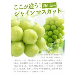 ふるさと納税 【全2回】晴れの国定期便 桃2kg マスカット3kg 定期便 岡山県笠岡市_3
