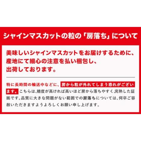ふるさと納税 【全2回】晴れの国定期便 桃2kg マスカット3kg 定期便 岡山県笠岡市_4