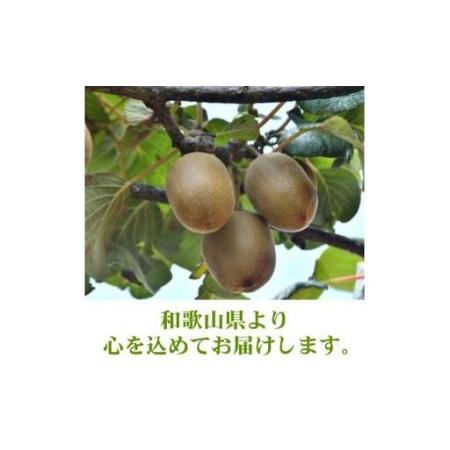 ふるさと納税 キウイ 厳選 10kg＋250g（痛み補償分） / キウイフルーツ 高級 和歌山 ※2026年11月中旬〜2027年4月下旬に順次発送 ※北海道・沖.. 和歌山県広川町_3