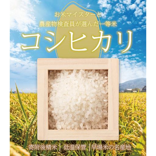 ふるさと納税 新米【現在発送中！】コシヒカリ5kg｜新米 千葉県香取市 |  | 01