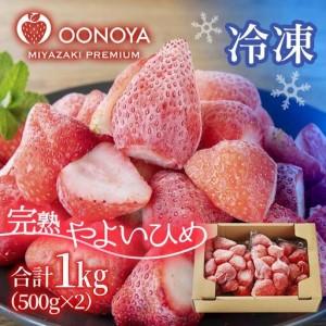 ふるさと納税 苺大野屋 完熟瞬間冷凍苺 自然栽培苺やよいひめ 1kg(500g×2)[28-7a] 宮崎県西都市